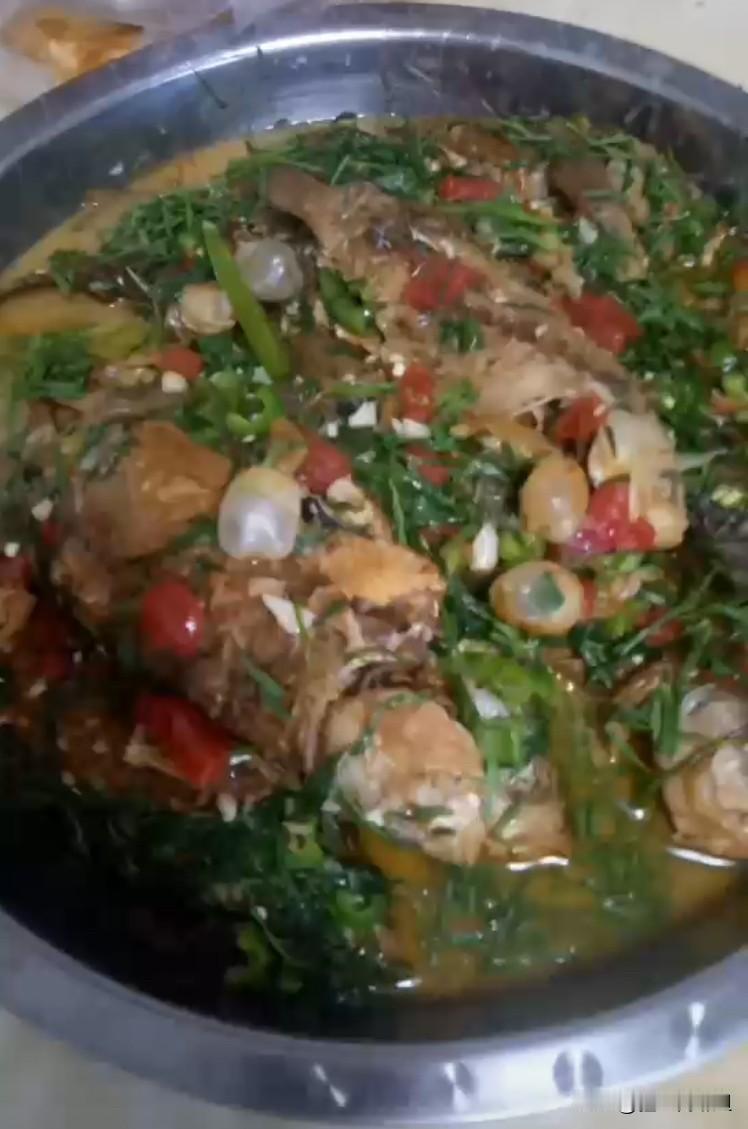 回到娘家，我就赶快跑到妹妹的菜地，看看她地里种的椒蒿长得怎么样了？

妹妹地里的
