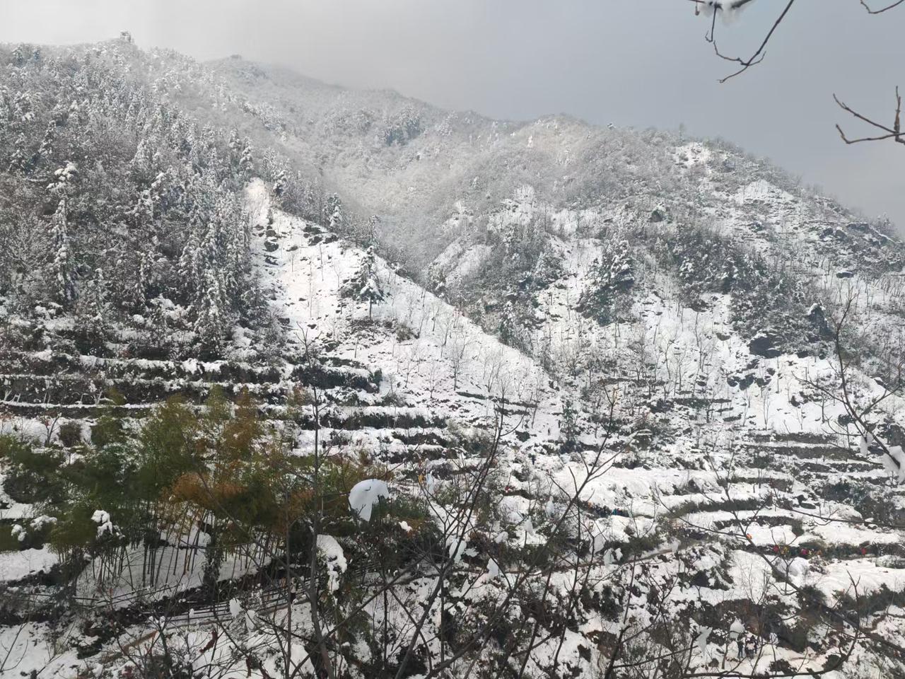 我的老家江浙一带这几天下雪了，带你看看南方山里的雪景，真的是太美了。带你看雪景