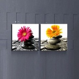 孙花品品军事