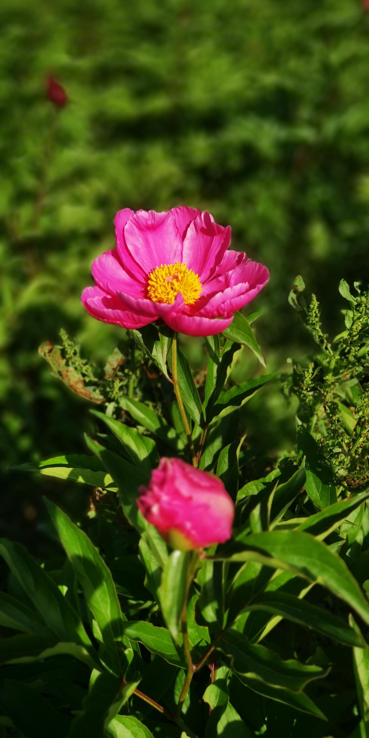 只能用四个字说明你哪里的？“秦皇建都!”就这四字，知道我是哪里的了吗？