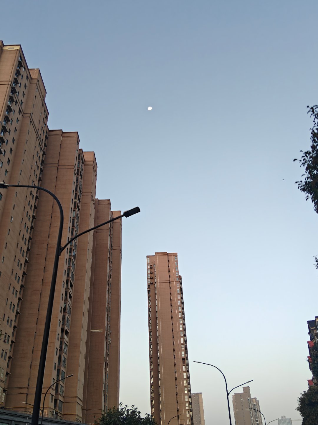 一大早起来送娃去学校参加研学，拍到了晓风残月 ​​​