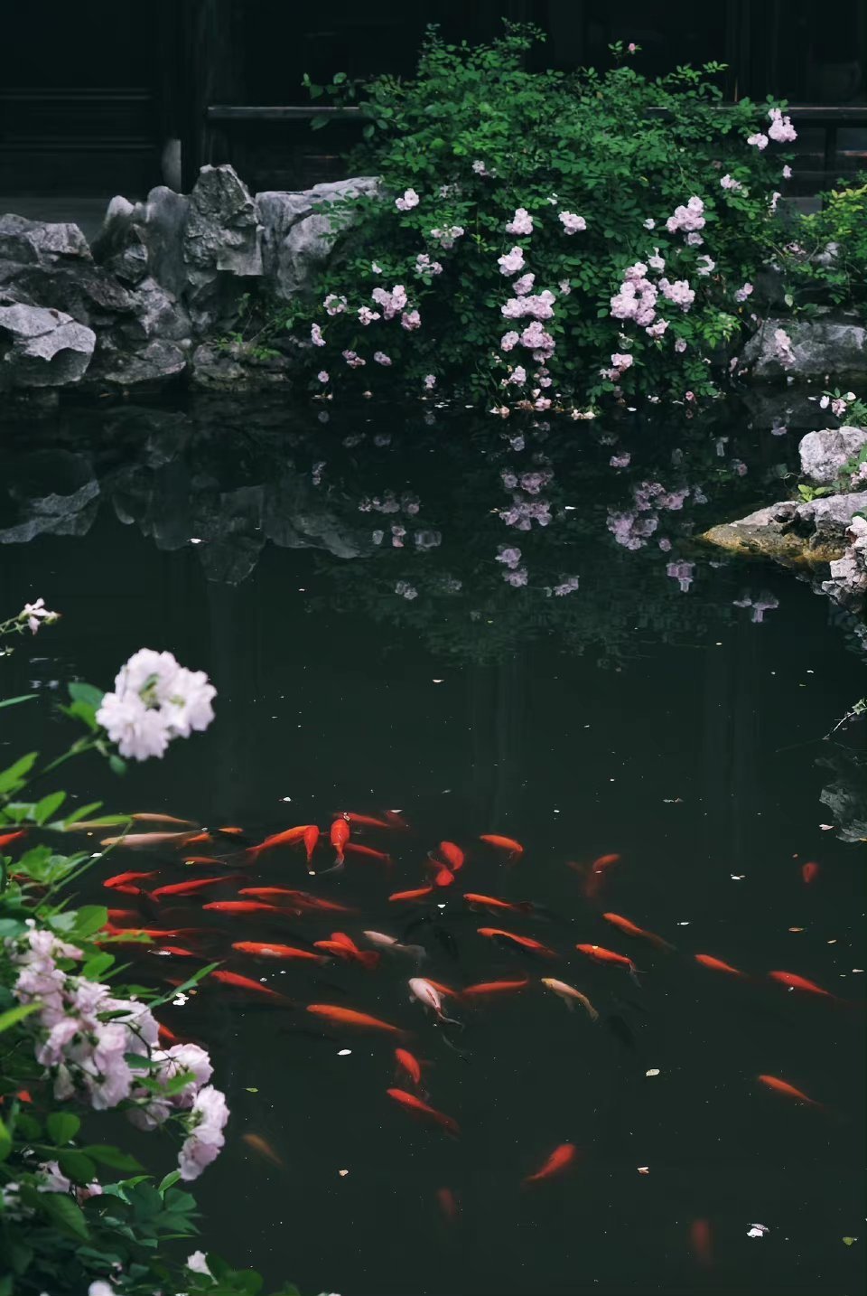 “今天飞花令｜主题【时、清】古诗词 ”                     