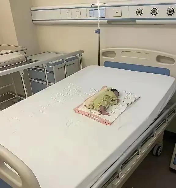 这么小一只，养大得花多少银子啊？[捂脸]