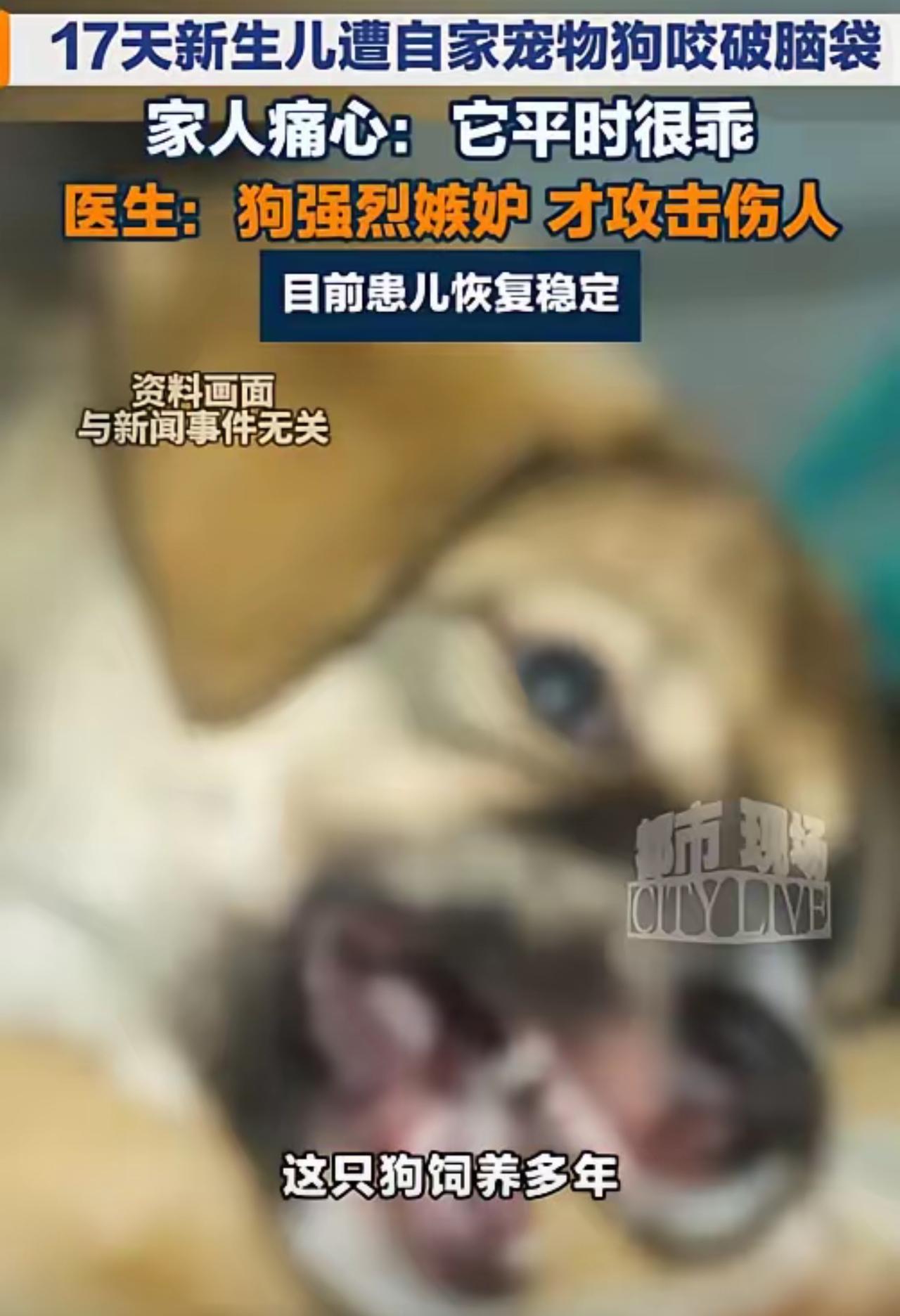 "悲剧还是发生了！"7月13日报道，浙江，对年轻夫妇家里养了多年的狗，平日里温顺