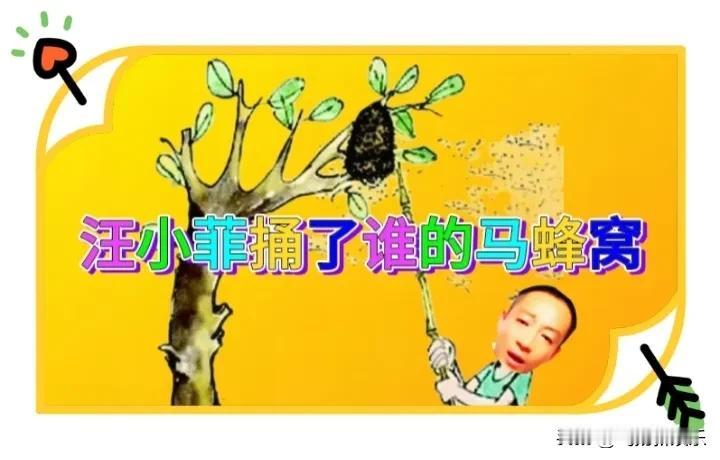 汪小菲的清醒捅了谁的马蜂窝？


       关于大S两孩子的抚养权问题，前一