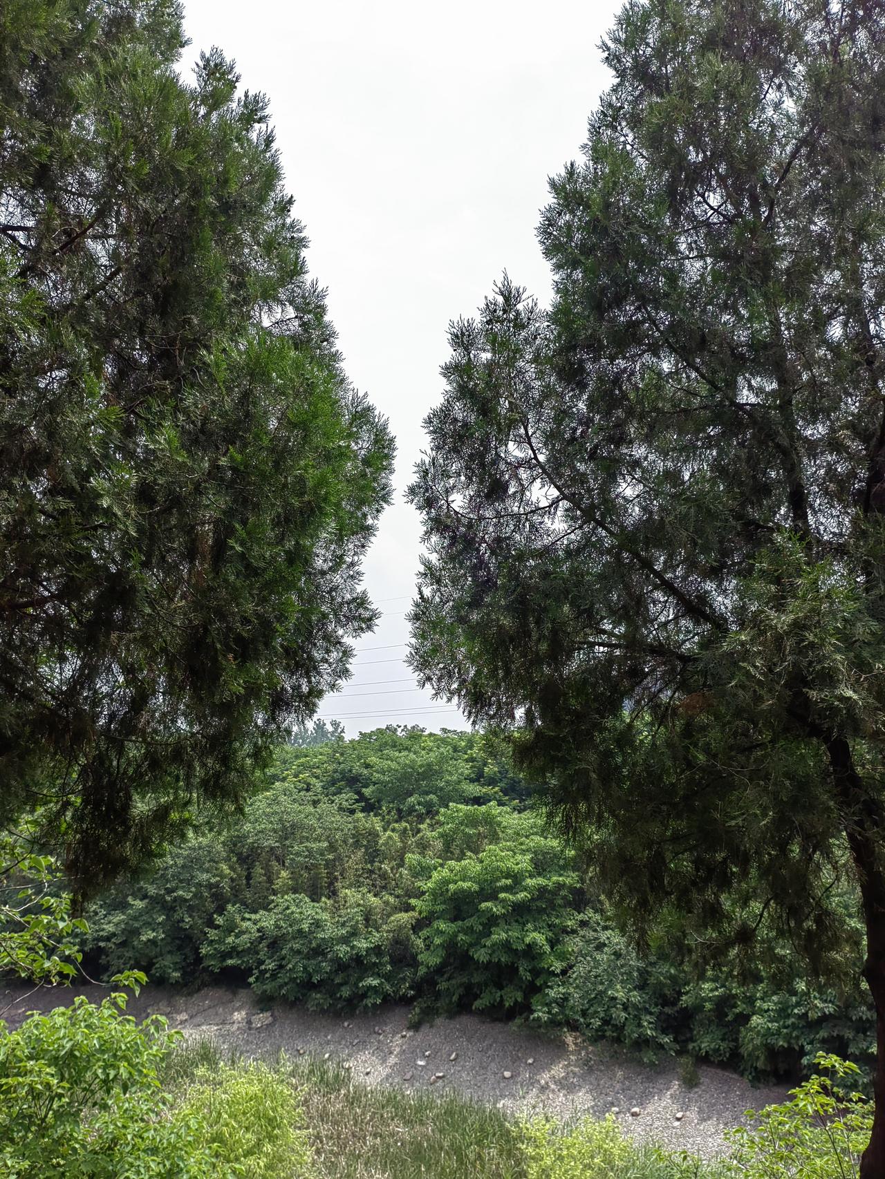 不服气是一回事，提拔不起来是另一回事，躺平和一股劲的“钻”都是错误的，谈不上放弃