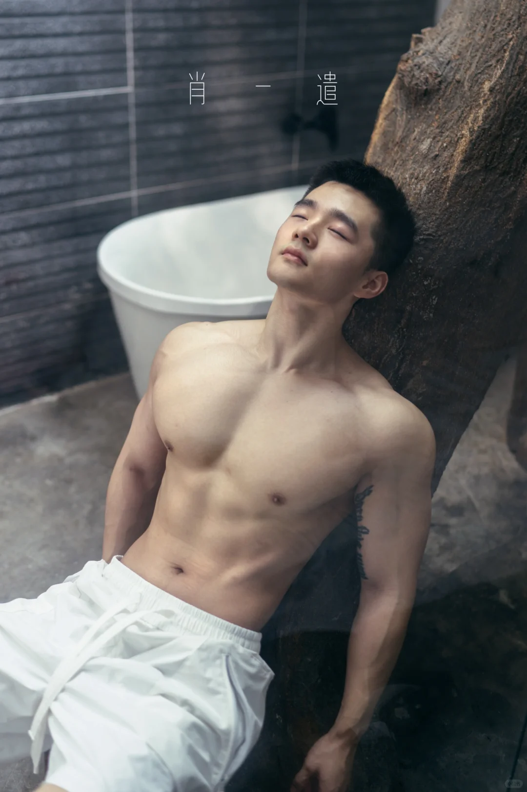 嗯…小企鹅