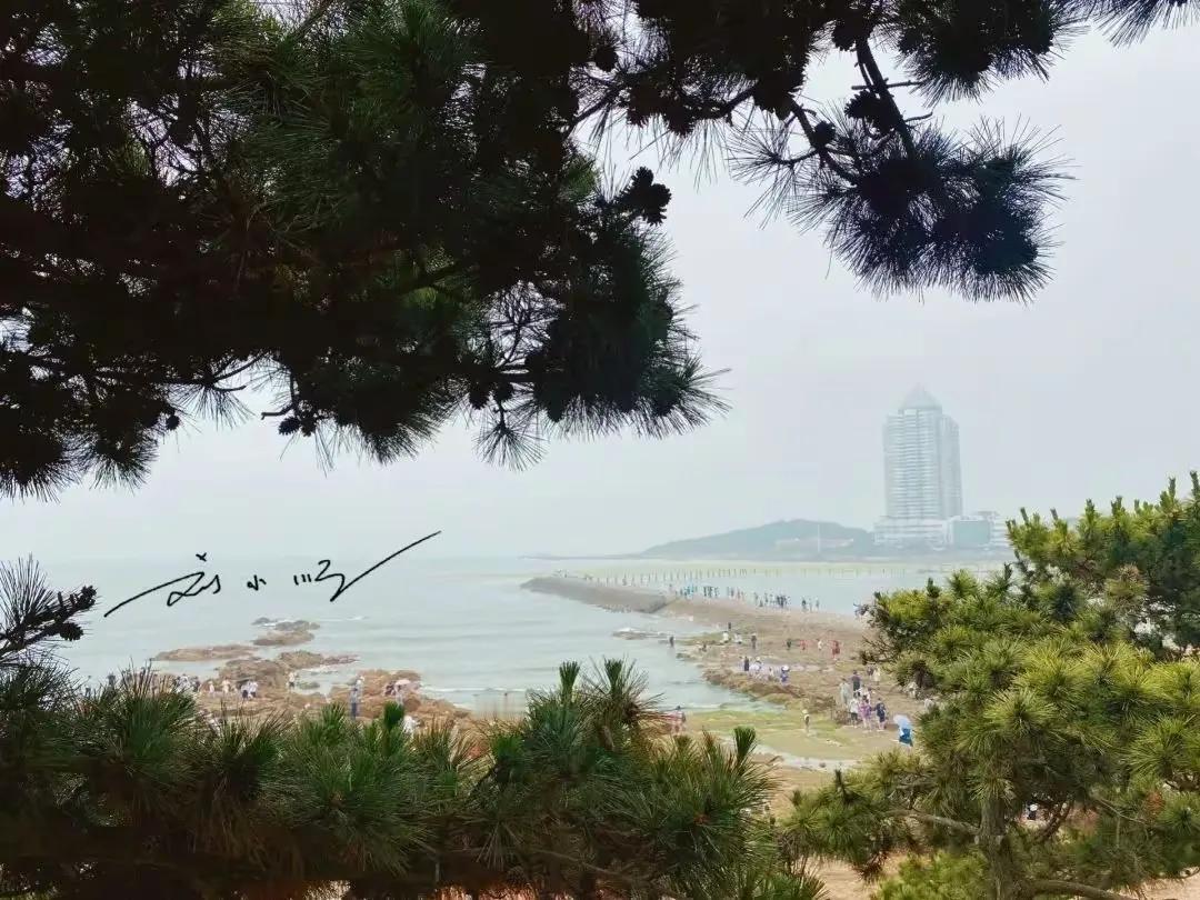 青岛无疑是现在山东省的“第一大城市”，而山东作为我国的经济大省之一，青岛将来有没