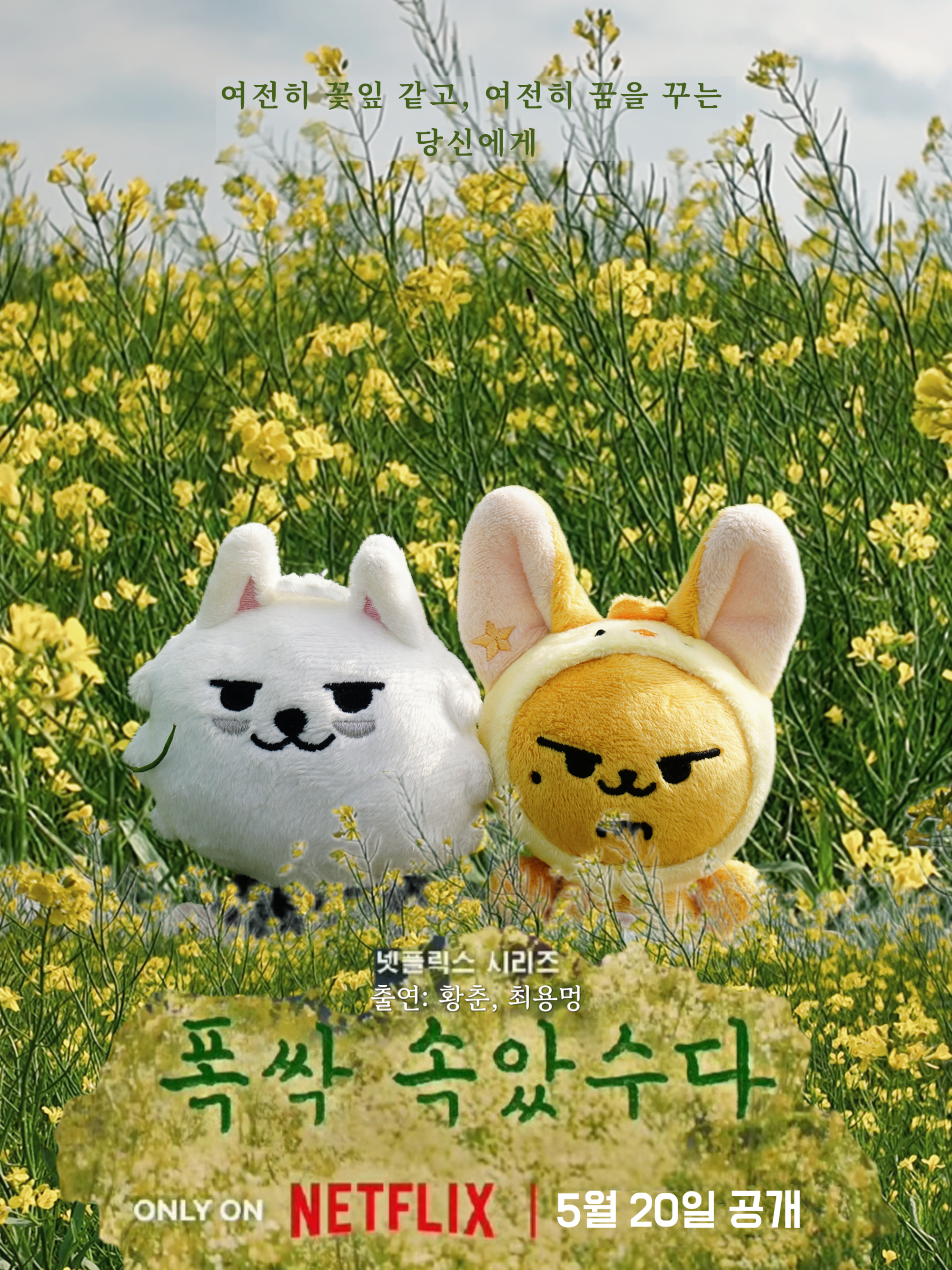 预告一下 ​​​