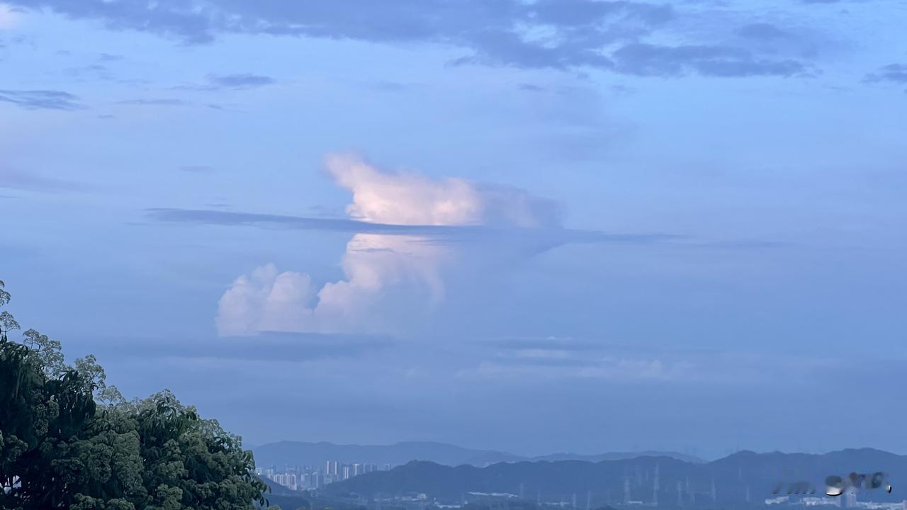 从高峰1110跌到现在571，基本上6个交易日去掉一半，这个套套真是无敌了。
