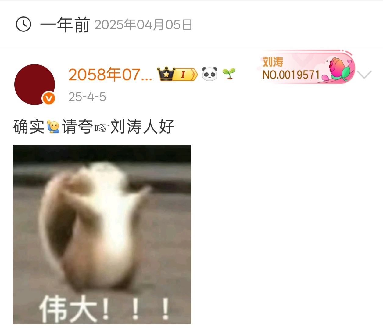 确实请夸☞刘涛人好 