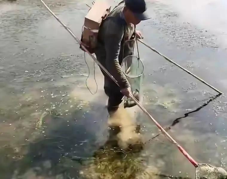 别等进了ICU才懂：透支自然，就是透支生命！

诸位朋友，今儿咱们单说一桩关乎你