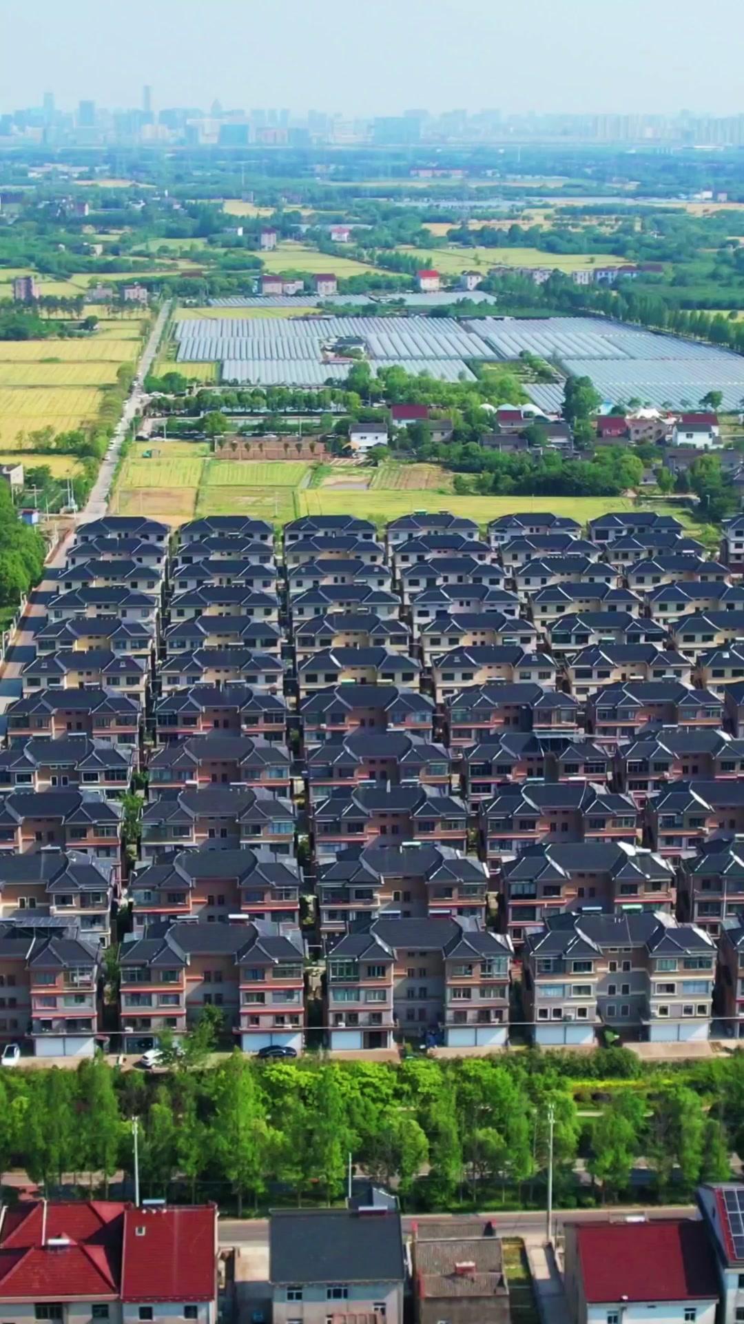 💡桐乡濮院镇新农村有多惊艳？🌾走进桐乡濮院镇新农村，就像闯入了一幅江南画卷。
