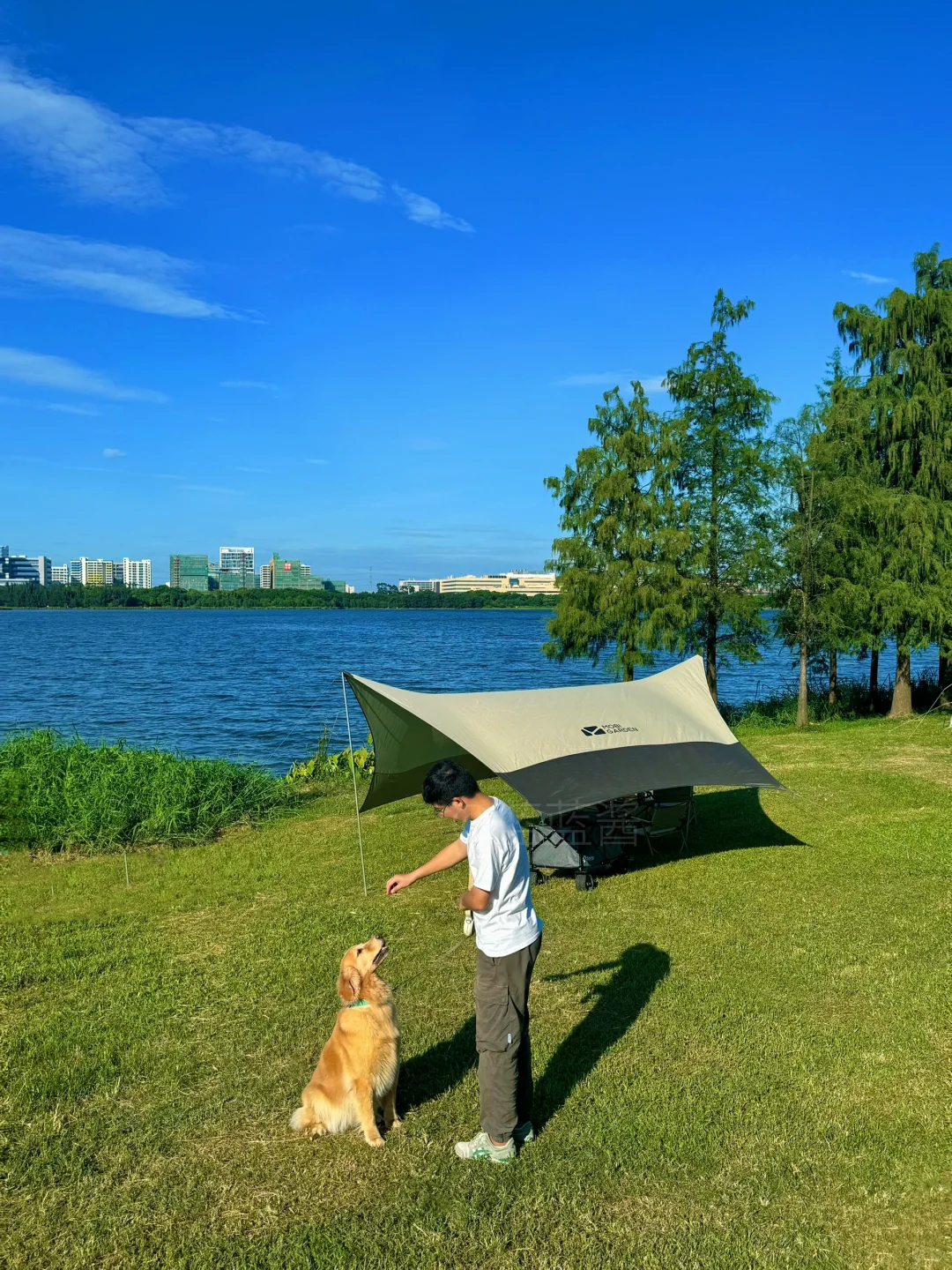 深圳1h🚙绝美小众湖边绿光森林🌿钓鱼爆桶‼️
