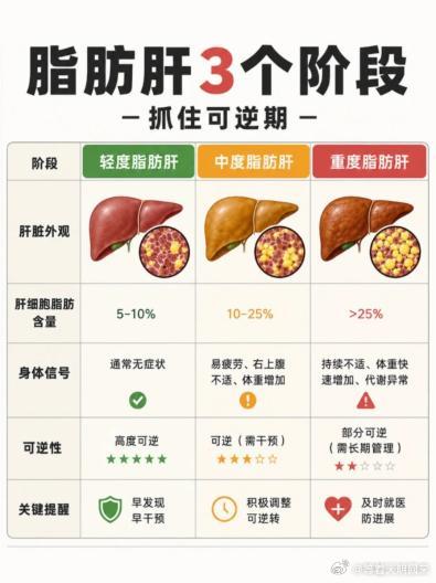 体检单上写着“轻度脂肪肝”，是不是就能松口气了？别急。爱康国宾之前科普过，轻、中