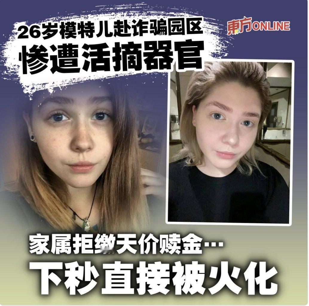 东南亚的电诈犯罪集团，其罪恶程度，已经超越人类底线，伊斯兰国与塔利班都不能与之相