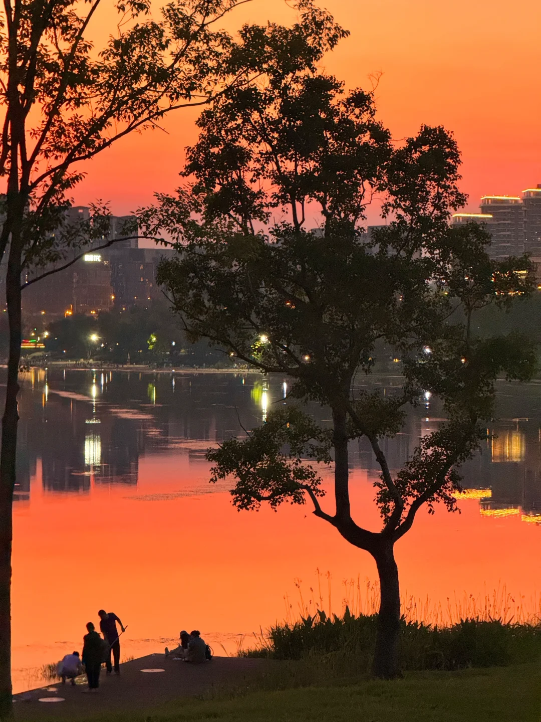 以为锦城湖落日够美了，直到我去了兴隆湖...