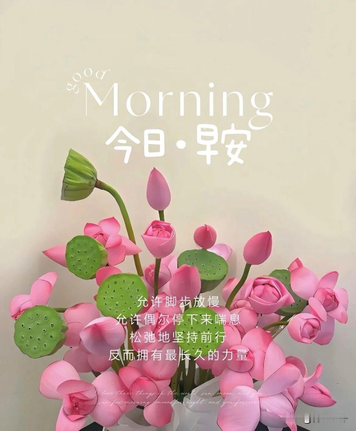 🍂²⁰²⁶/₀₈.₁₃ᵕ̈周四｜秋晨漫叙🍃☕️
🍃𝐆𝐨𝐨𝐝 𝐌?