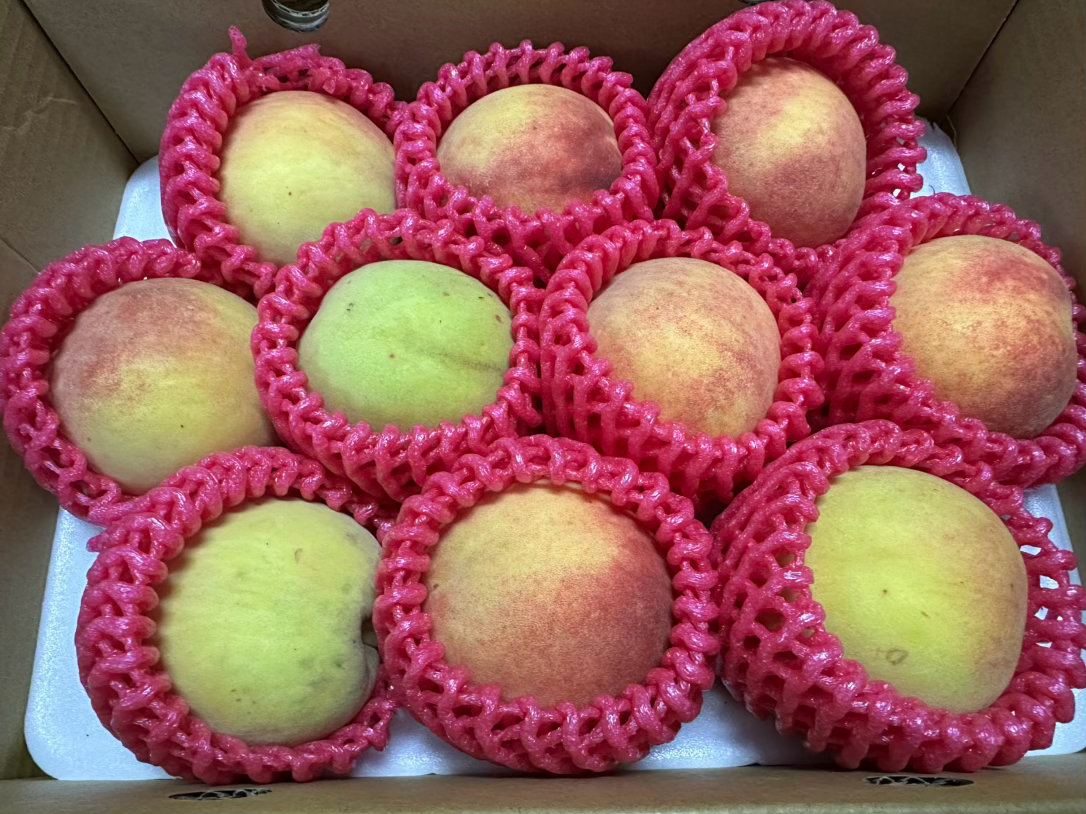 生活手记我也是吃上黃金桃🍑的人啦😍，雖然不是丹東黃金桃🍑，是尖石🍑，還是