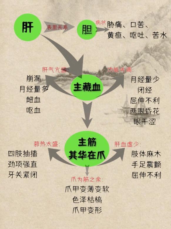 这份“肝”货对你大有益处！收下吧数据显示，我国普通人群药物性肝损伤发病率为3.8