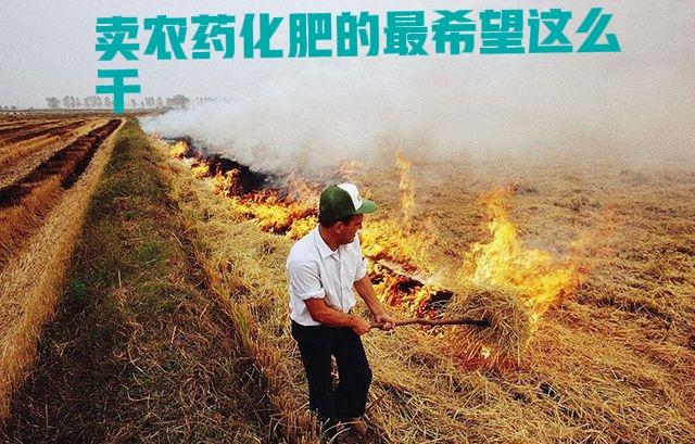 生产农药化肥的，巴不得农民在田地里焚烧秸秆，而最不希望农村实现秸秆发酵处理后还田