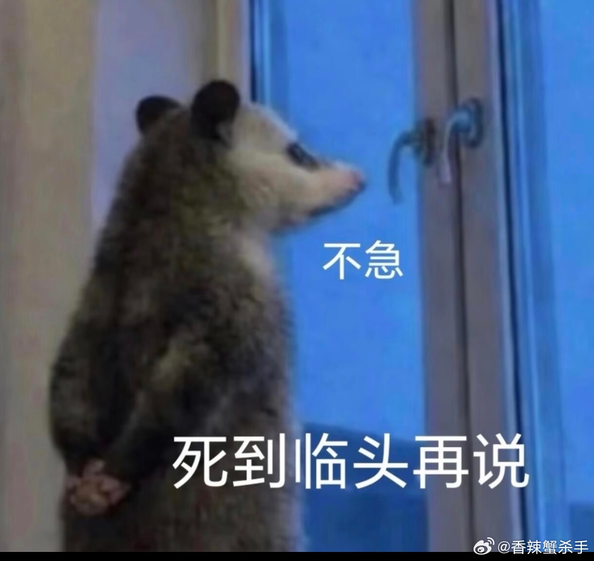念相思开机攻玉掉了你们骂。念相思你们再骂掉，你让侯老师在家抠🦶？只要剧本好，人
