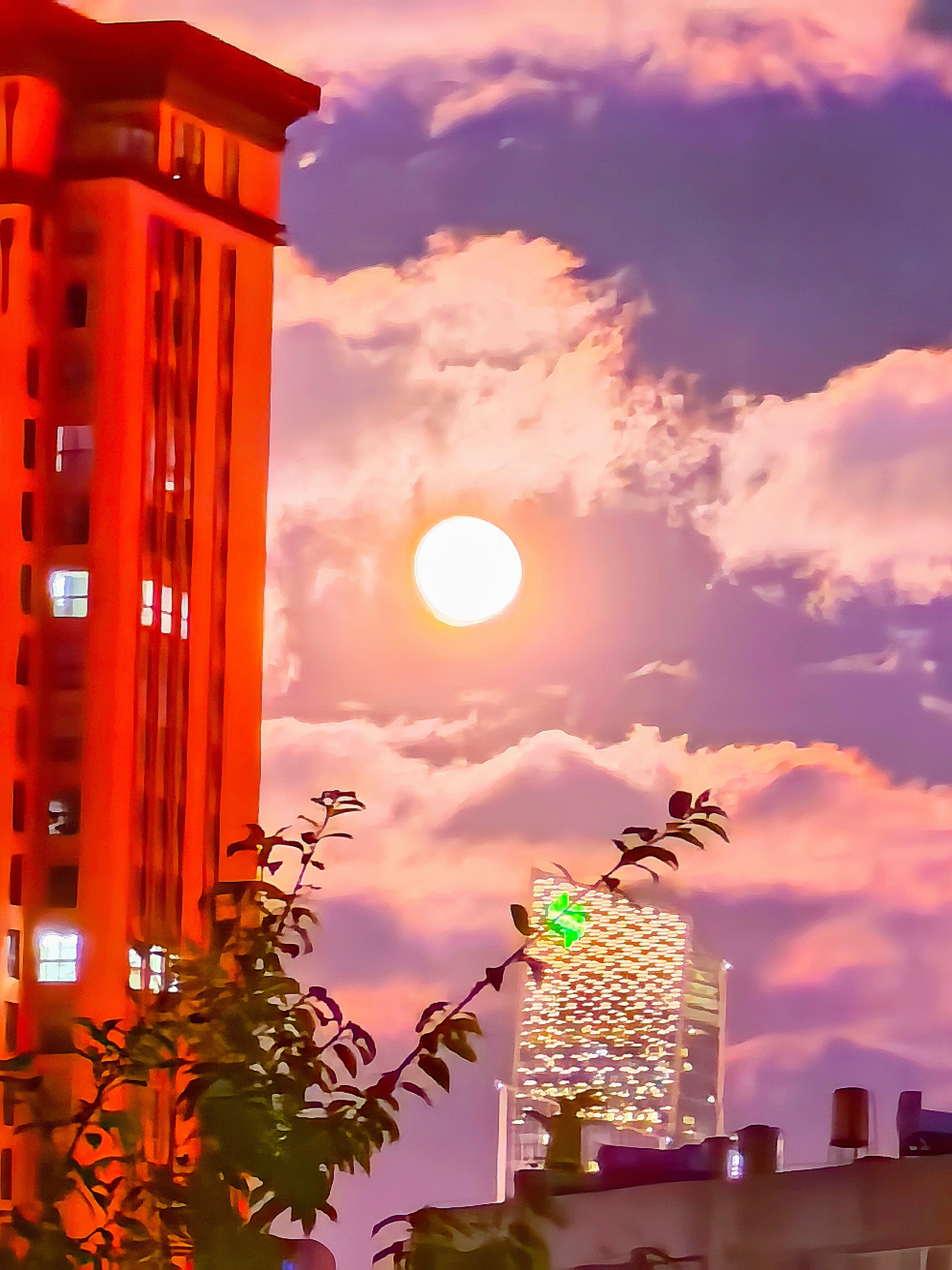 分享图片 ​​​