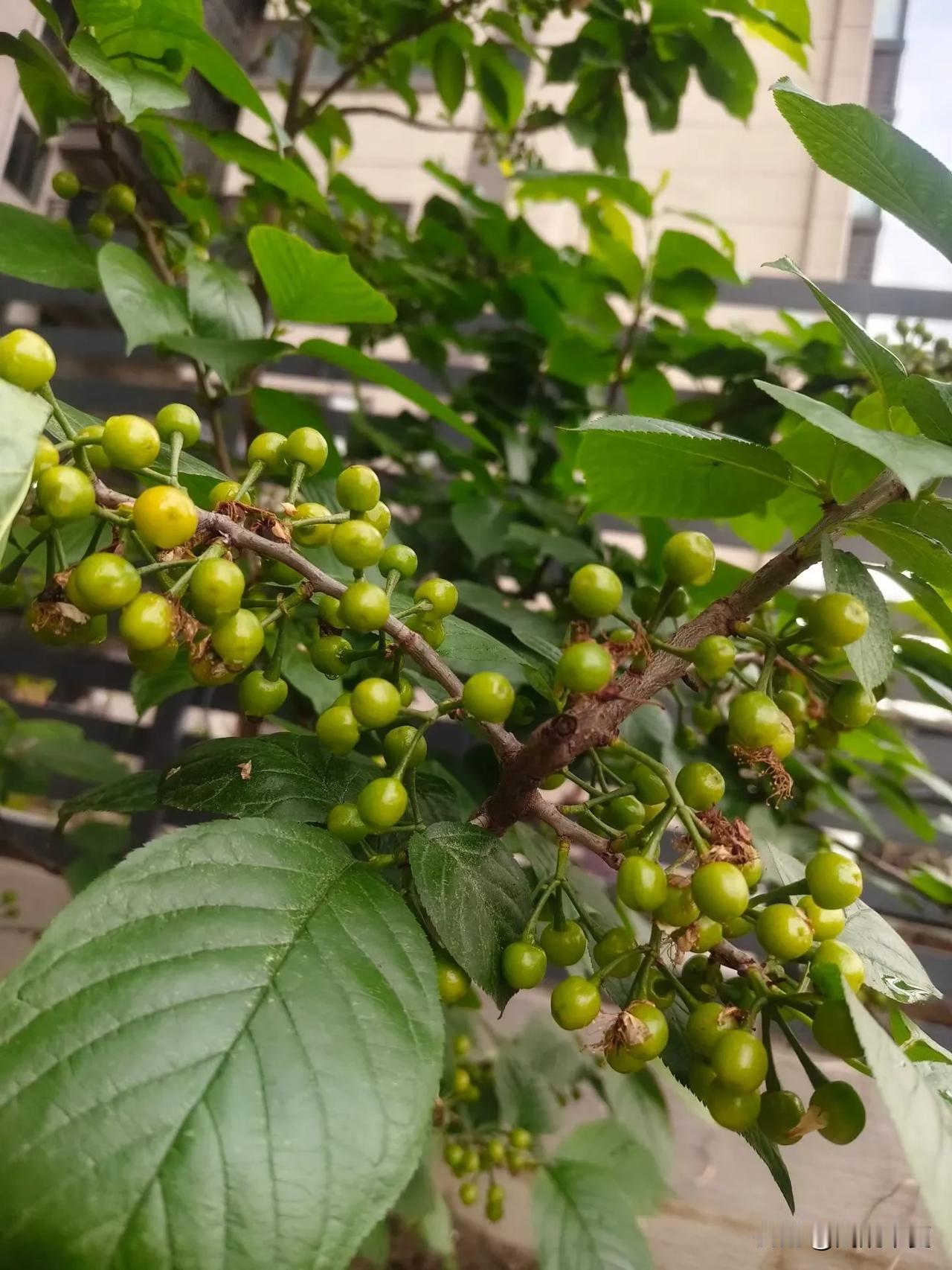 吵架赢了道理，却输了感情，值得吗？

很多人在婚姻里喜欢争对错、讲道理，非要赢了