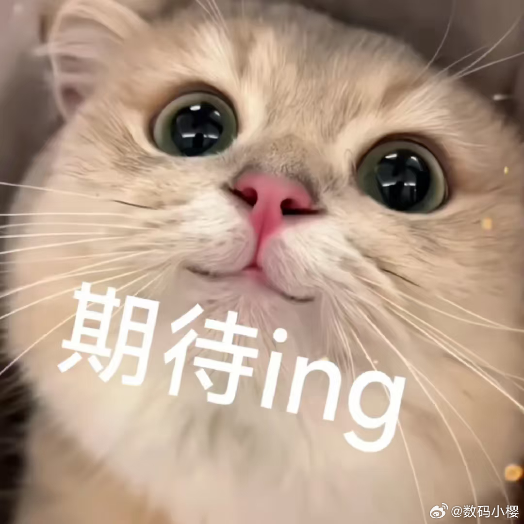 电影欢迎来龙餐馆官宣定档这个电影我记得很早之前就拍完了，终于等到定档了，这届暑期