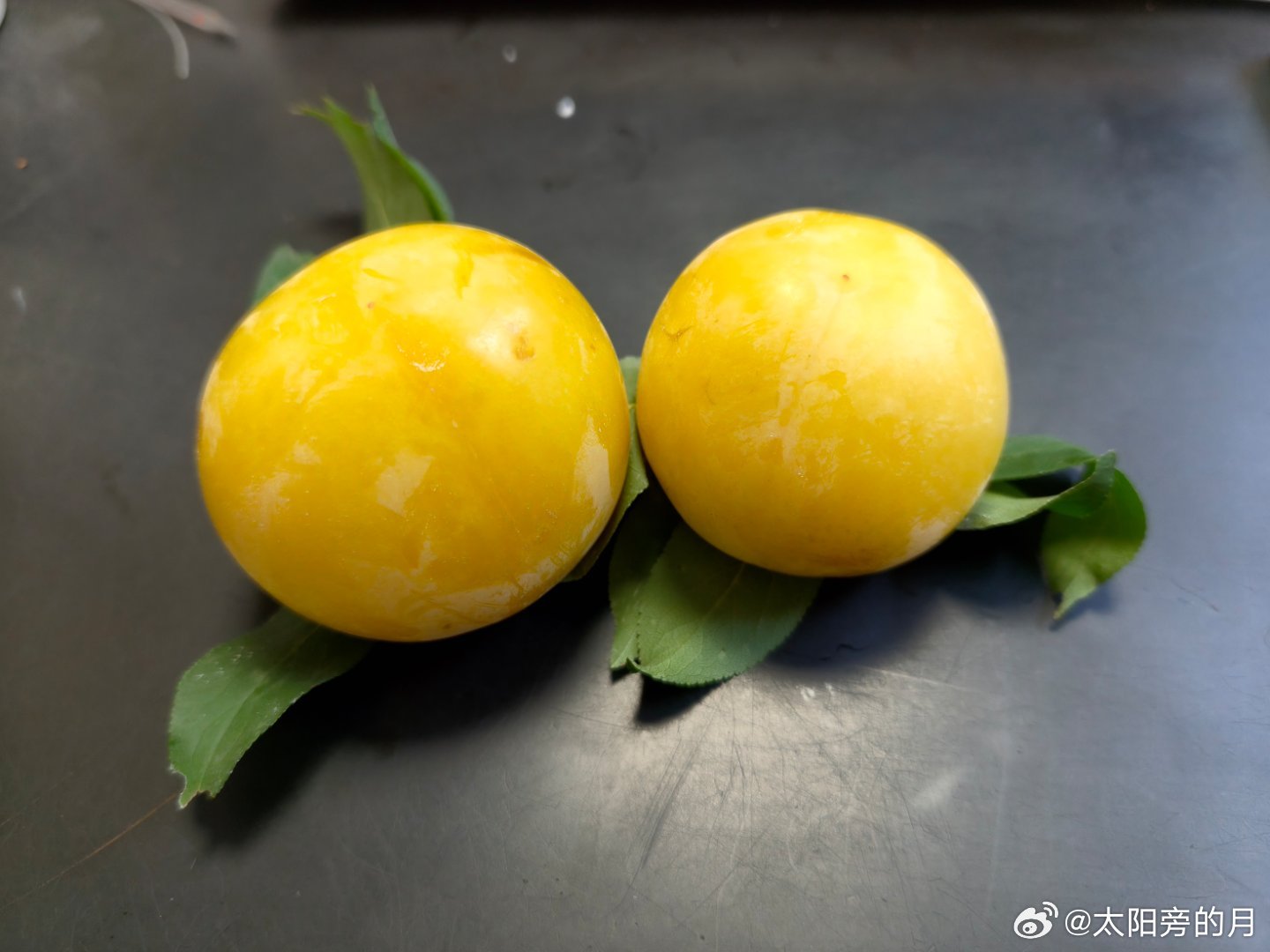 黄岩 盛夏限定宝藏水果✨金灿灿的黄金奈李 