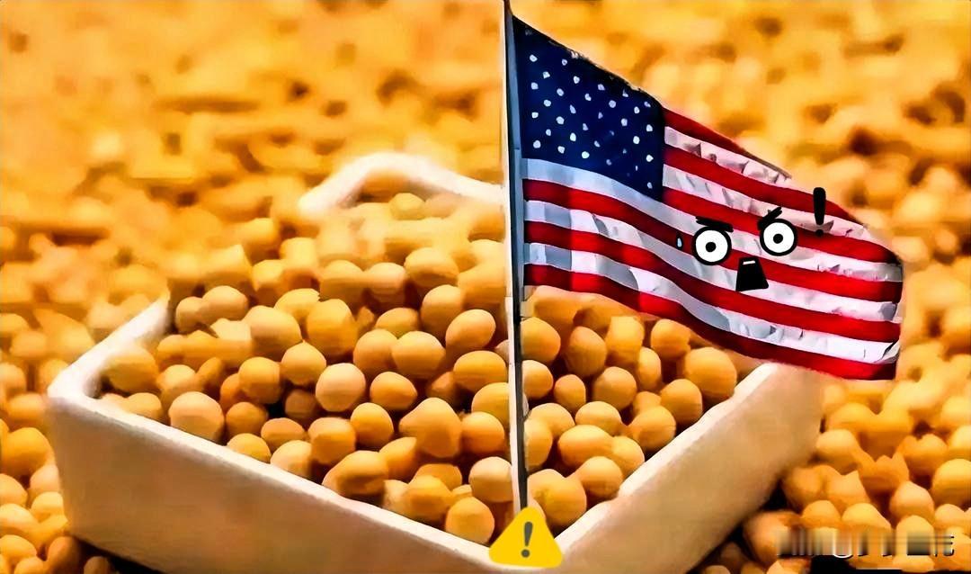 刚刚得知一个消息  

完全没想到

东方大国积极采购美国大豆

放宽对美国的稀