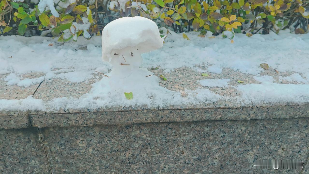 冬日生活打卡季