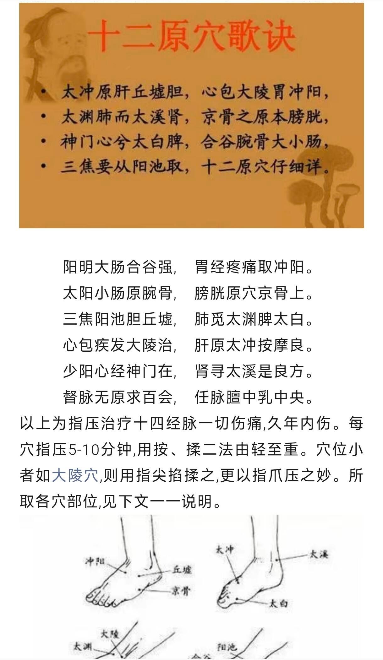 找12原穴，断全身百病国医的精诚力量