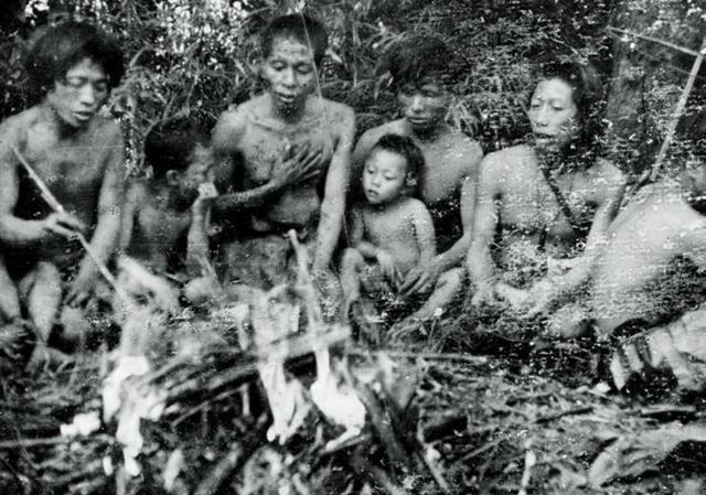 1956年，部队在云南原始森林深处，发现一群衣不蔽体、蓬头垢面的男男女女。经过调