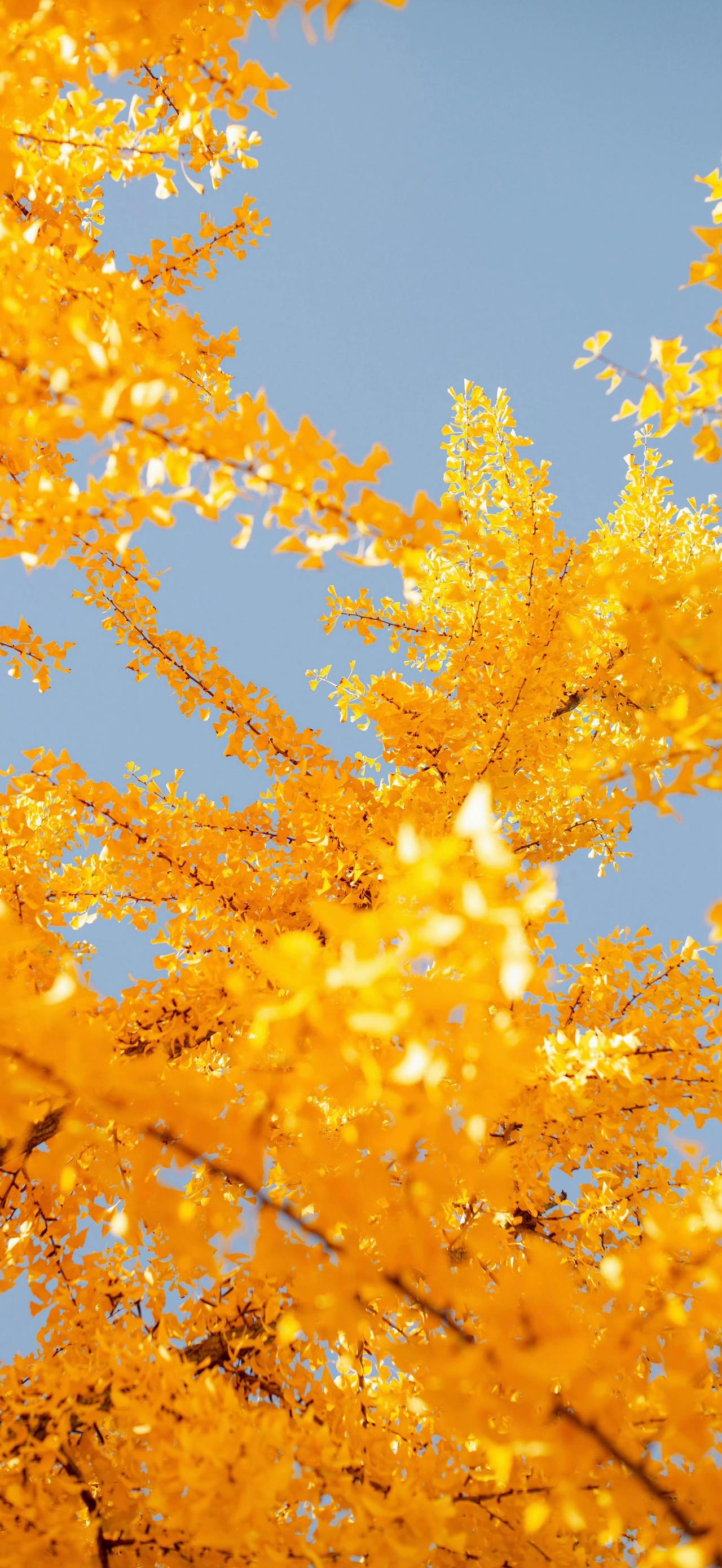 #冬日生活打卡季#