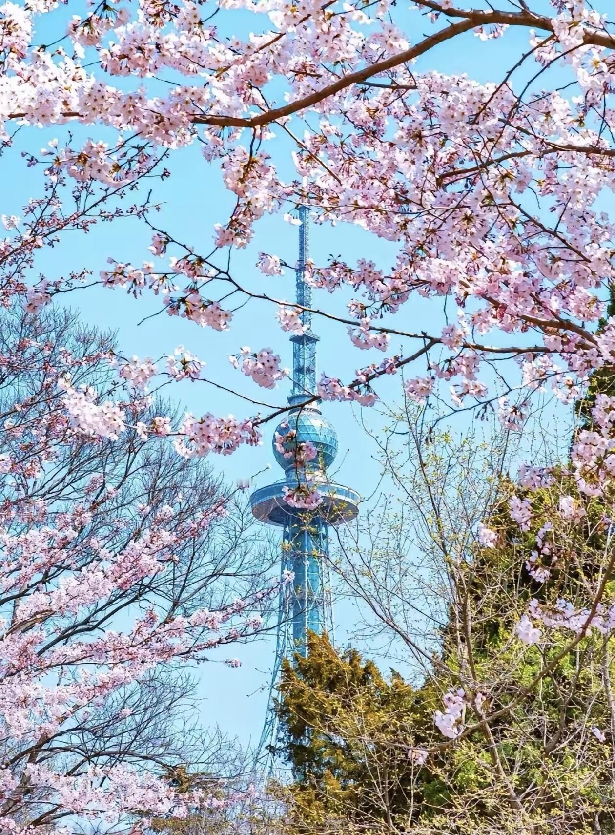 人间四季，最喜是春。

当春风轻拂，悄然漫过山野，人间春色，便愈发丰盈。

春天