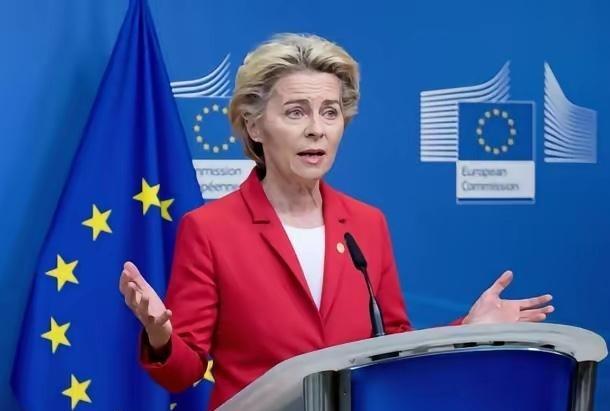 欧盟这波操作，真是又蠢又短视！历史又要重演了！
欧盟正式官宣：禁止中国参与总预算