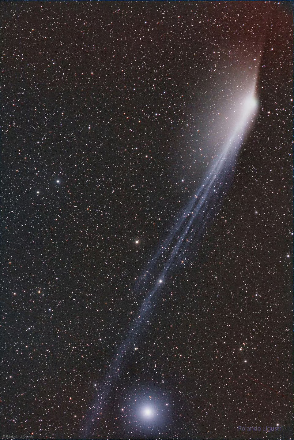 #每天一天文图# 庞士-布鲁克斯彗星指向相反的彗尾 ​​​