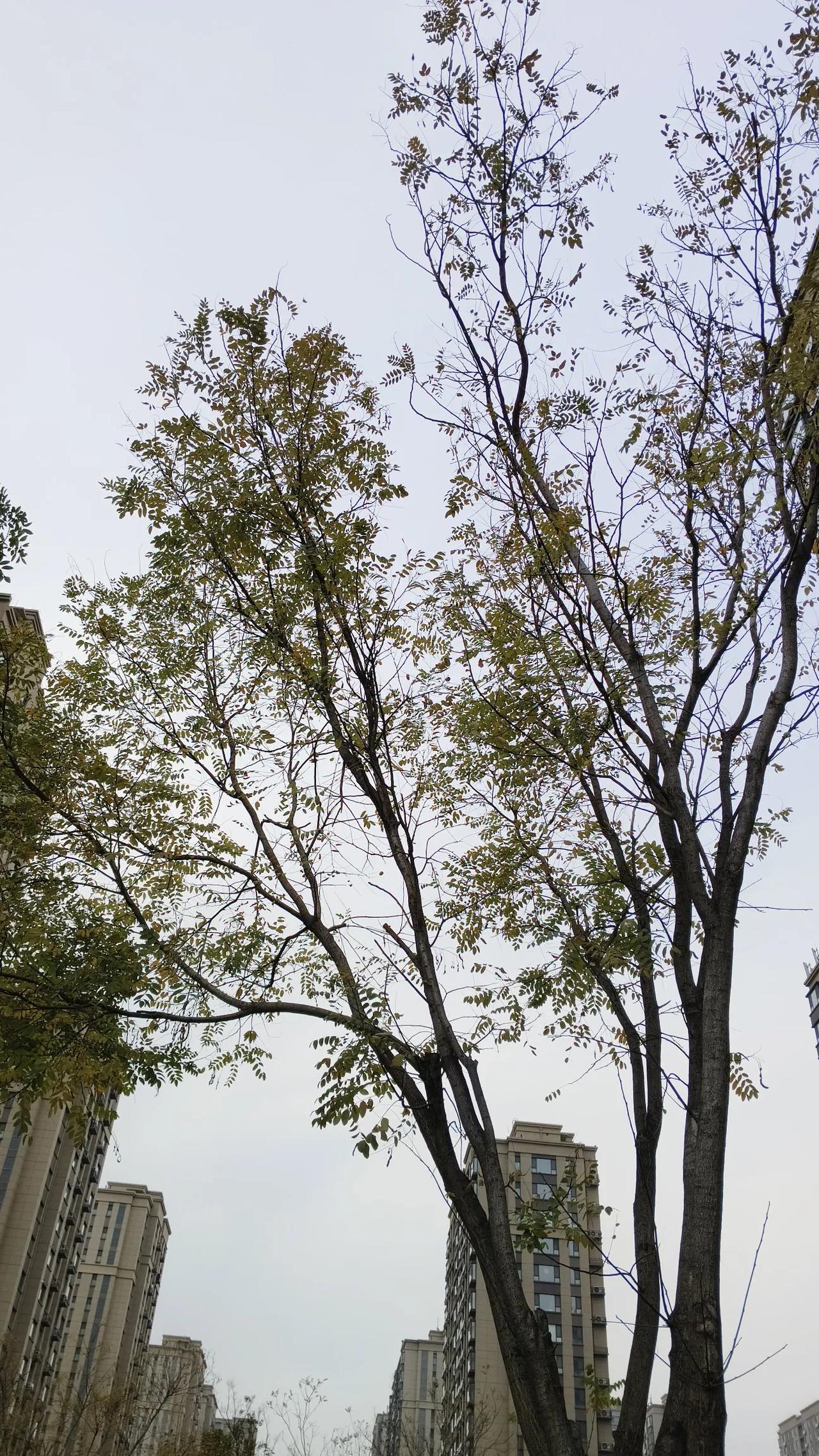 冬天的生活是好冷的时光，所以少出门，显得坐在家里阅读的时间增多了不少。显得一天天