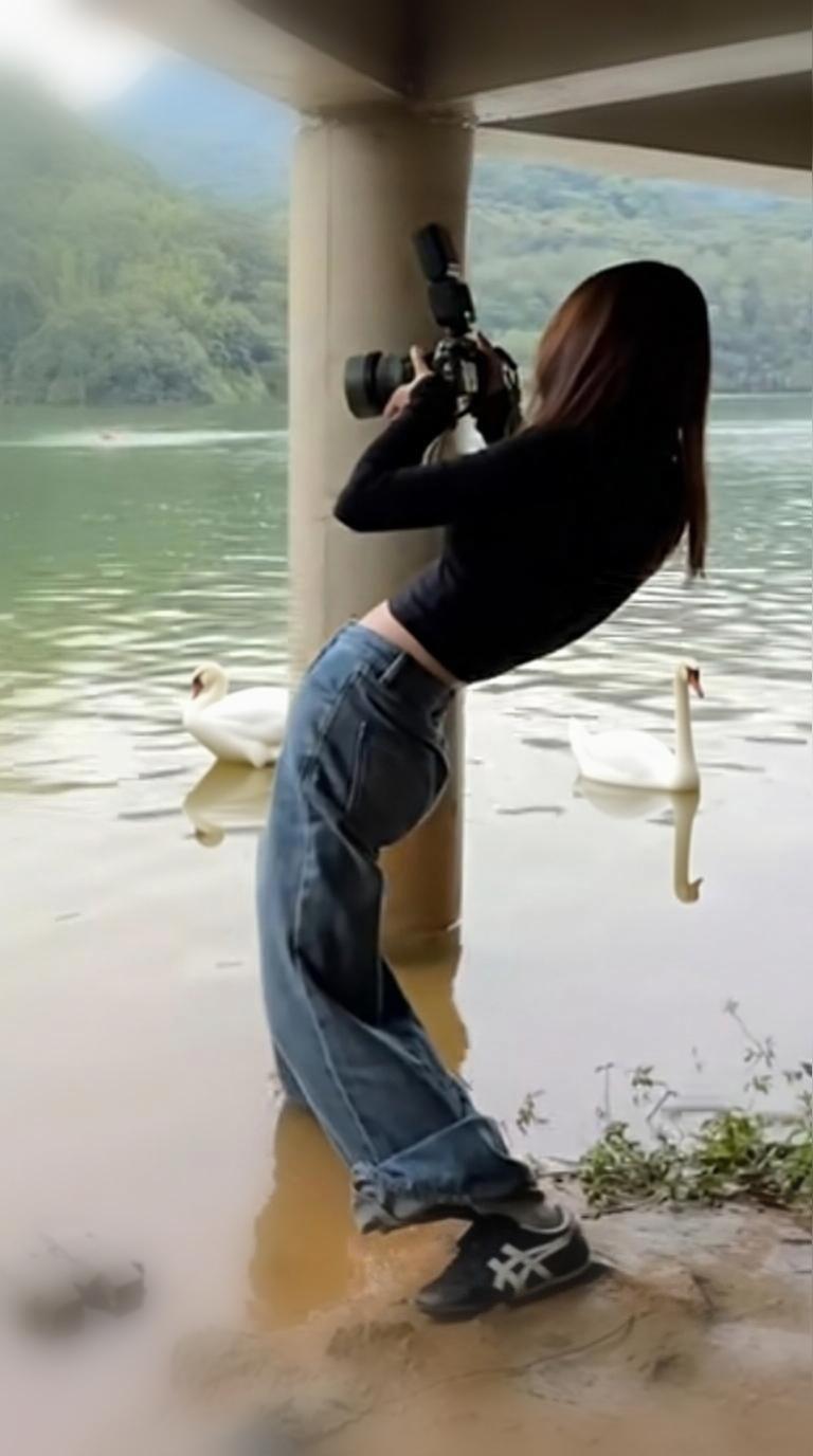 我在三门峡拍天鹅。