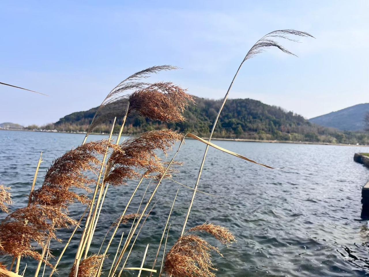 守住初心，不忘来路

不管走多远，都记得当初为什么出发。

不被名利裹挟，不被焦