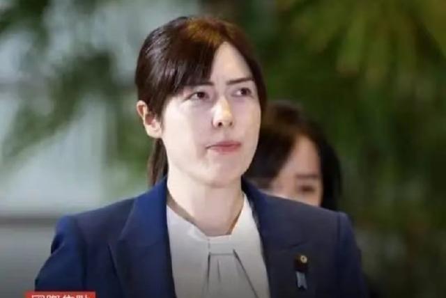 1月20日，日本经济大臣小野田纪美对媒体说：“12月中国对日出口稀土磁铁280公