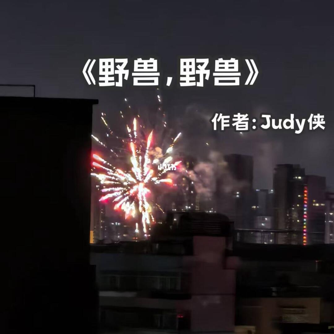 宅家小说｜先婚后爱《野兽，野兽》
