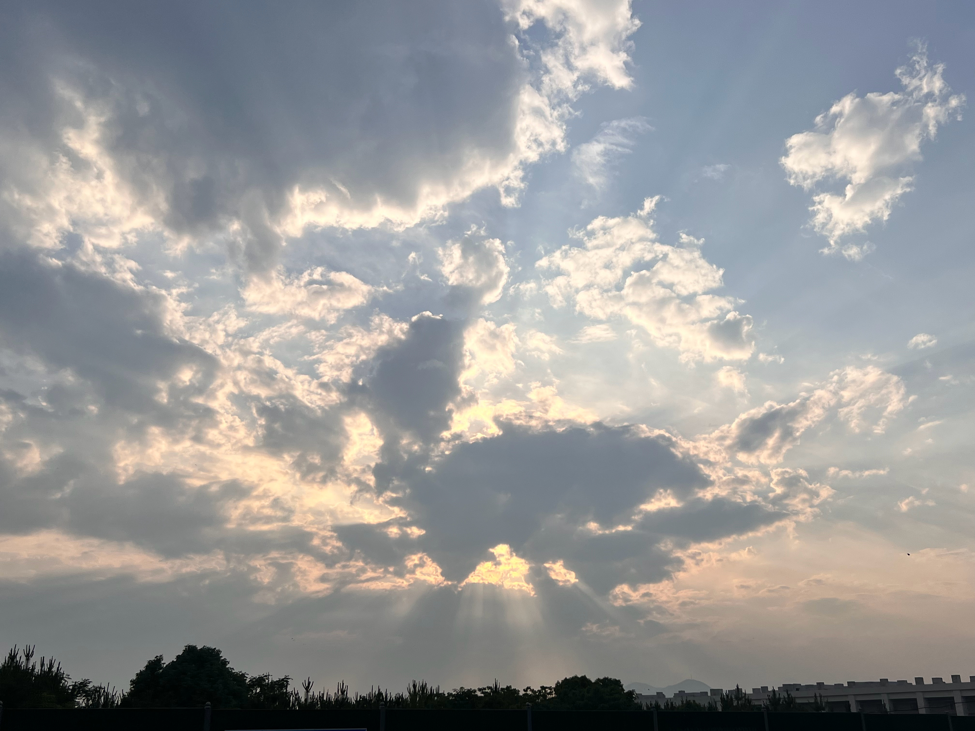 随手拍  昨天傍晚的云，今天早上的金丝桃夕云笼日影，微光穿重层。朝来金萼绽，明艳