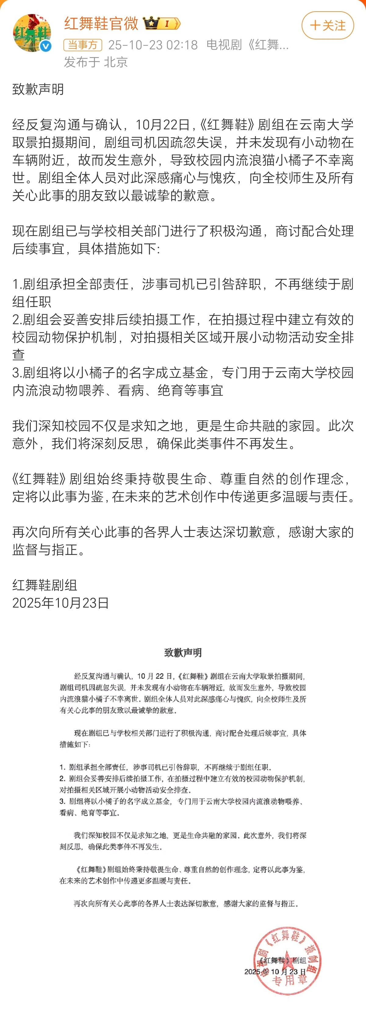 经典「率兽食人」。一只校内的流浪猫，因为有关部门多年来的无所作为，现在已经俨然成