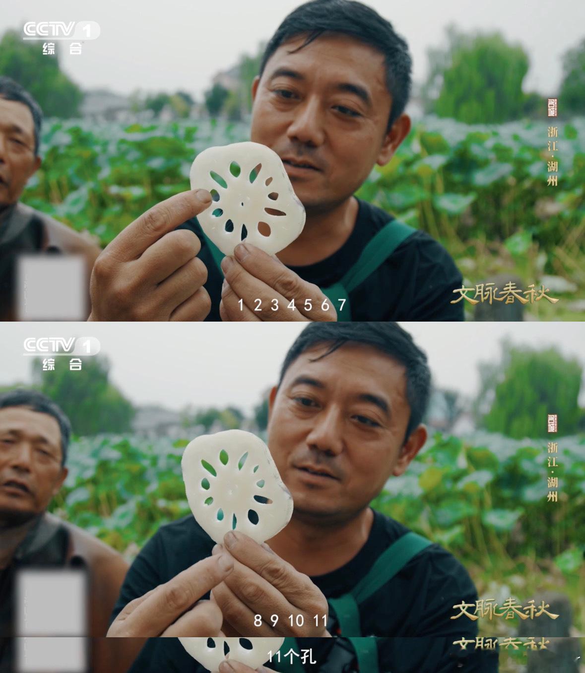 湖州的藕为什么有11个孔湖州人吃藕吃出新高度 普通藕最多10孔，湖州胥仓雪藕独拥