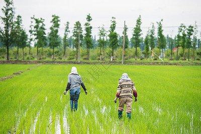 中俄粮食产量差距犹如断崖！俄罗斯年产 1.28 亿吨，中国多少吨？

中国 20
