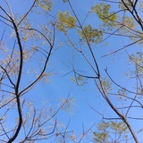 晓泽热逛情感