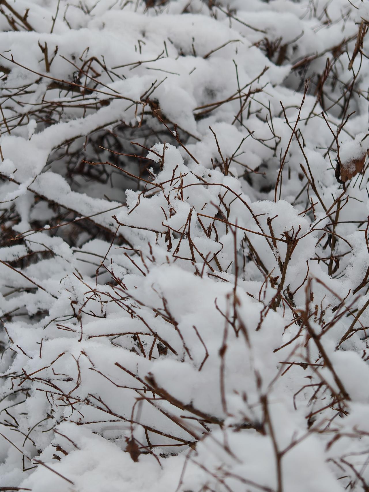 与痛风斗争的历程75
 
   周日总算能睡个懒觉，可昨夜酒喝得尽兴，后半夜却被