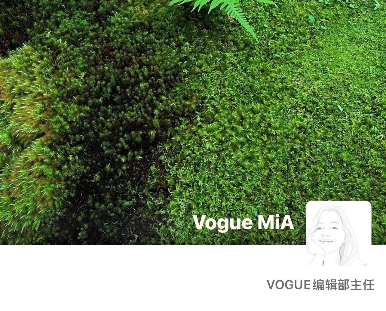 刷朋友圈刷到窝瓜编辑主任部发的热巴 